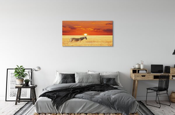 Obraz na plátne Zebra poľa sunset 100x50 cm