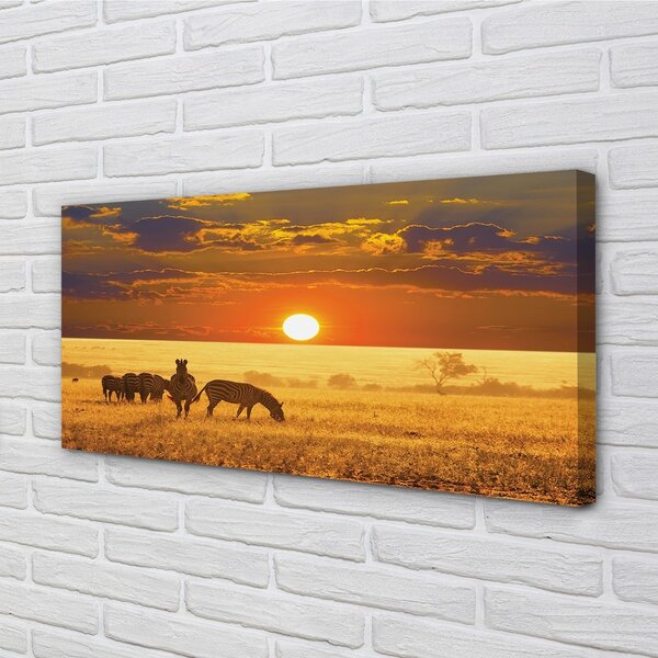 Obraz canvas Zebra západ mraky 100x50 cm