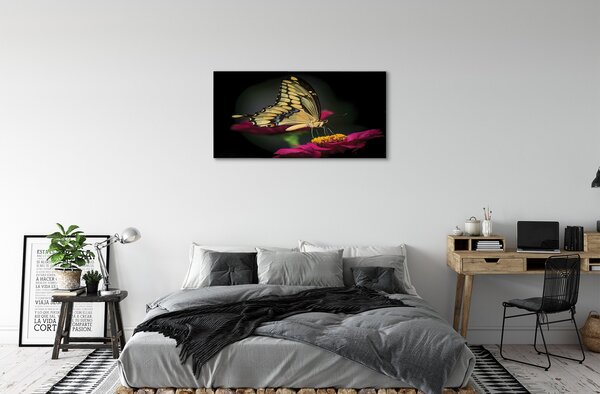 Obraz na plátne Motýľ na kvetine 100x50 cm