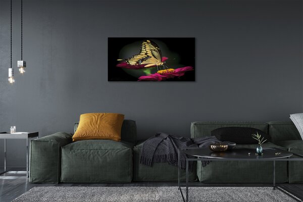 Obraz na plátne Motýľ na kvetine 100x50 cm