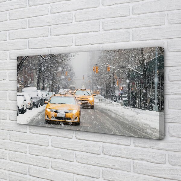 Obraz canvas Zime sneh limuzínový servis 100x50 cm