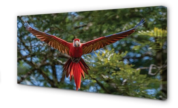 Obraz na plátne ara papagáj 100x50 cm