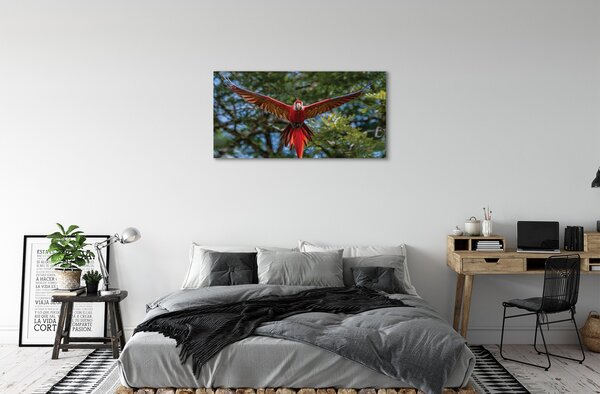 Obraz na plátne ara papagáj 100x50 cm