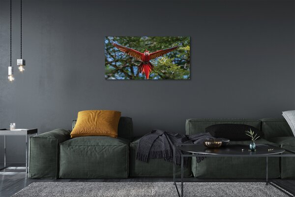 Obraz na plátne ara papagáj 100x50 cm