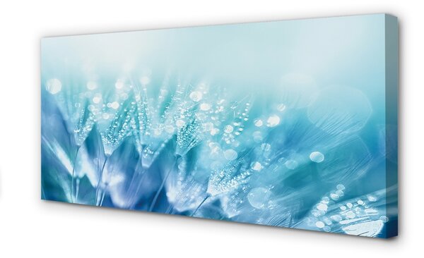 Obraz canvas Kvapky púpavy abstrakciu 100x50 cm