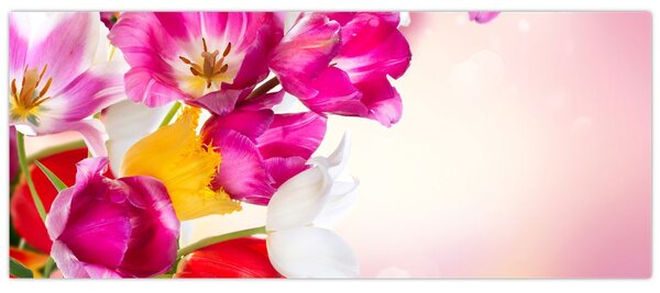 Obraz tulipánov (120x50 cm)