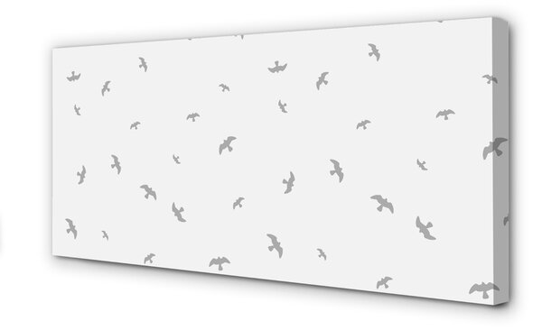 Obraz na plátne šedej vtákov 100x50 cm