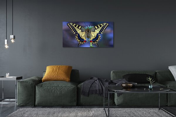 Obraz na plátne Motýľ na kvetine 100x50 cm