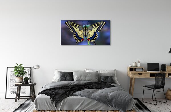 Obraz na plátne Motýľ na kvetine 100x50 cm