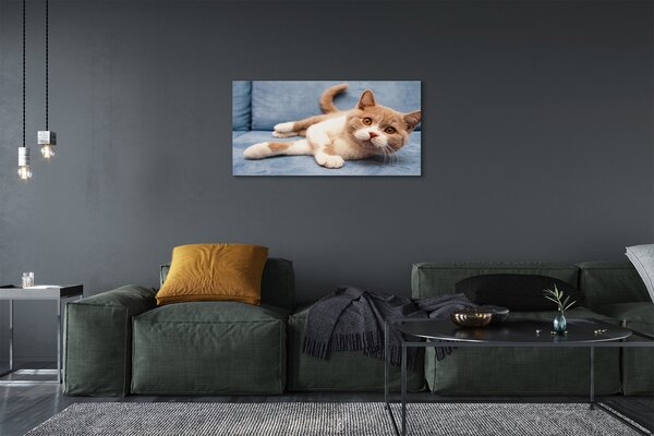 Obraz na plátne ležiace mačka 100x50 cm