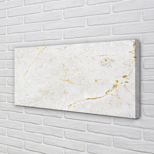 Obraz canvas Marble kamenný múr 100x50 cm