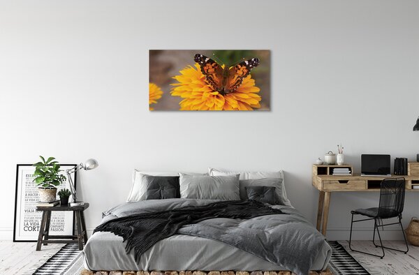 Obraz na plátne Farebný motýľ kvetina 100x50 cm