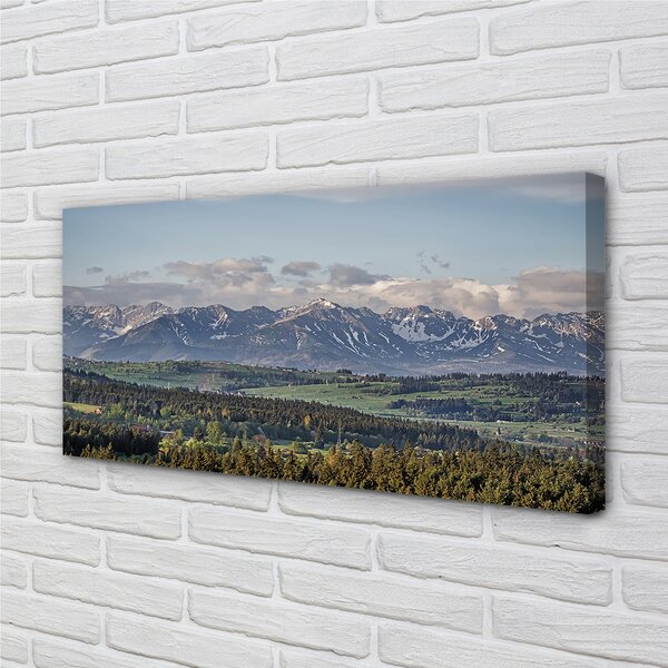 Obraz canvas hory 100x50 cm