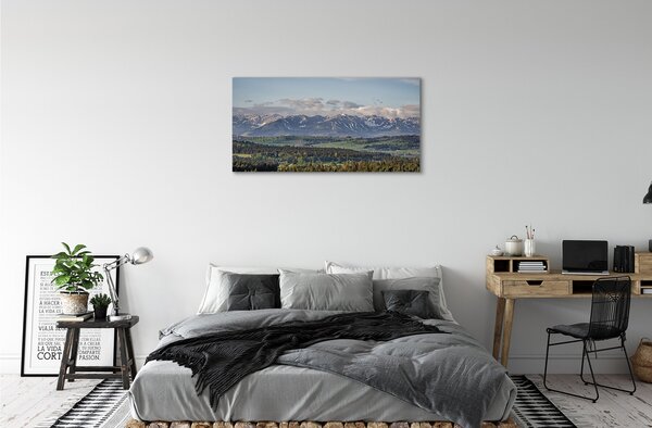 Obraz canvas hory 100x50 cm