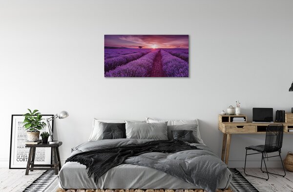 Obraz canvas poľné vresy 100x50 cm