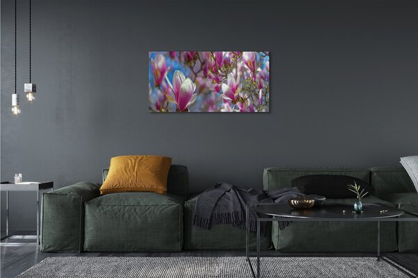 Obraz canvas magnólia strom 100x50 cm