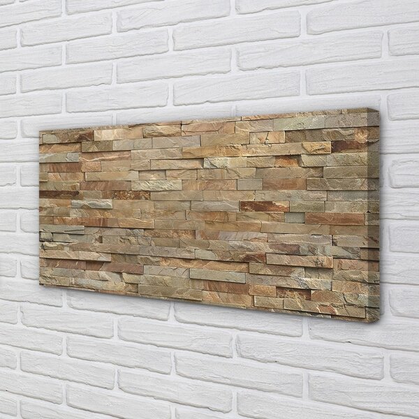 Obraz canvas Kameň stenové panely 100x50 cm