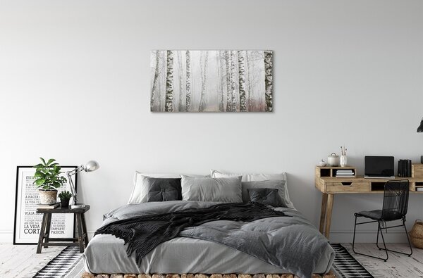 Obraz canvas hmla breza 100x50 cm