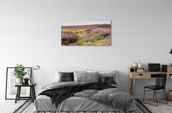 Obraz canvas poľné vresy 100x50 cm