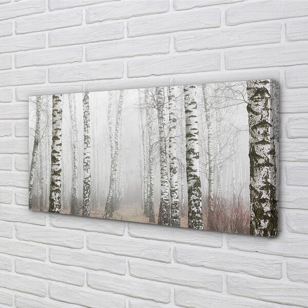 Obraz canvas hmla breza 100x50 cm