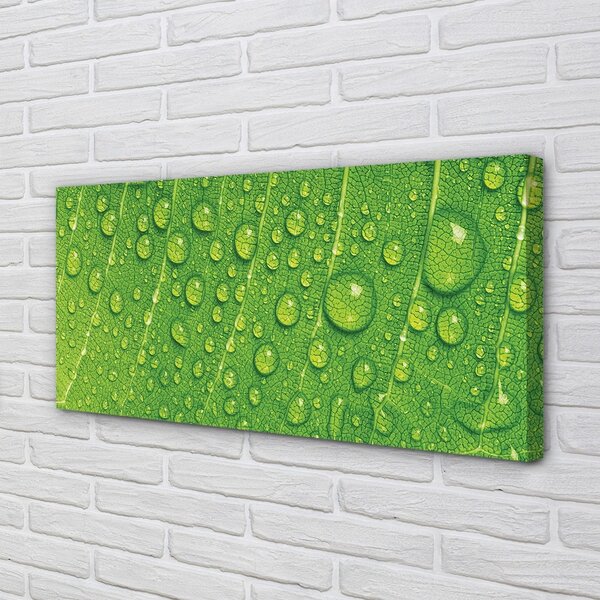 Obraz canvas Kvapky list makro 100x50 cm