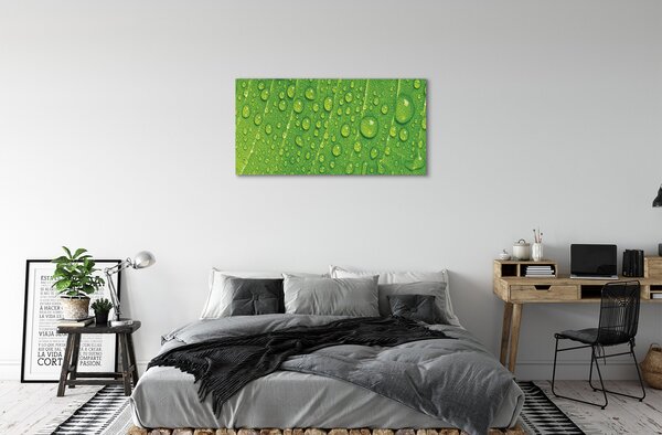 Obraz canvas Kvapky list makro 100x50 cm