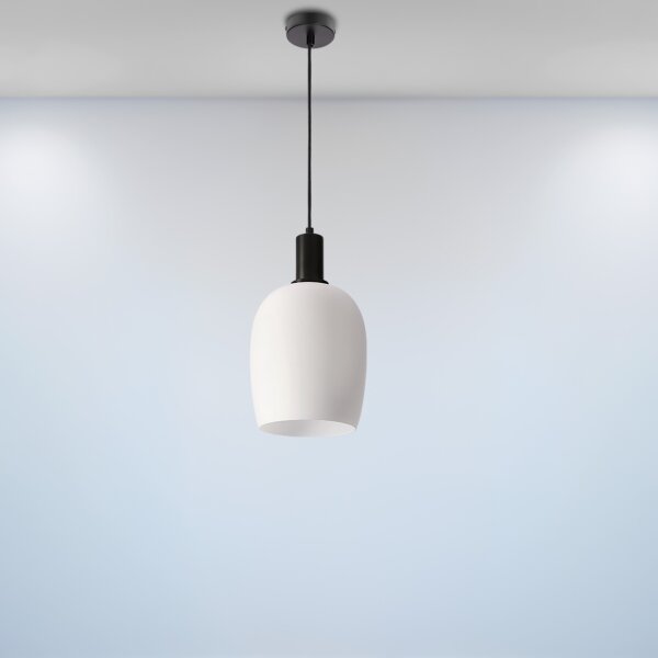 Závesné svietidlo na lanku WOLKEN 1xE27/40W/230V biela/čierna