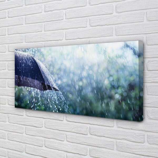 Obraz canvas Umbrella dažďovej kvapky 100x50 cm