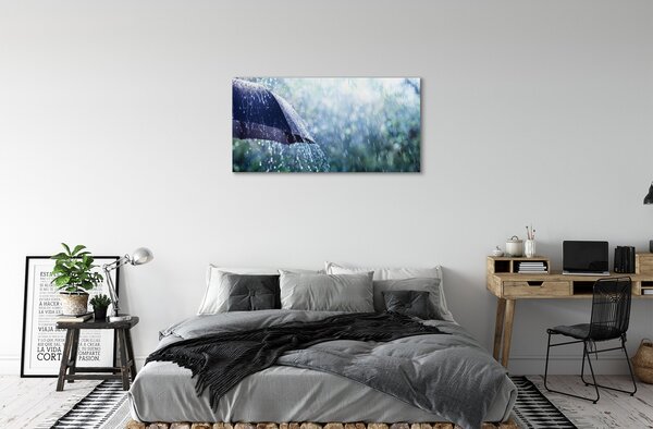 Obraz canvas Umbrella dažďovej kvapky 100x50 cm