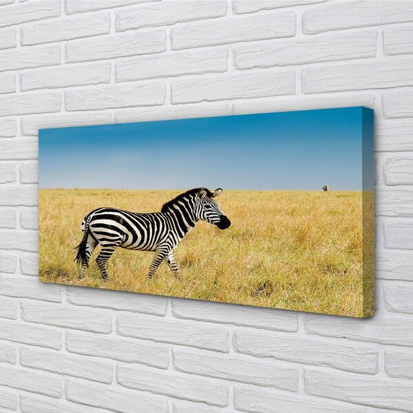 Obraz na plátne Zebra box 100x50 cm