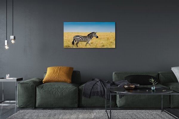 Obraz na plátne Zebra box 100x50 cm