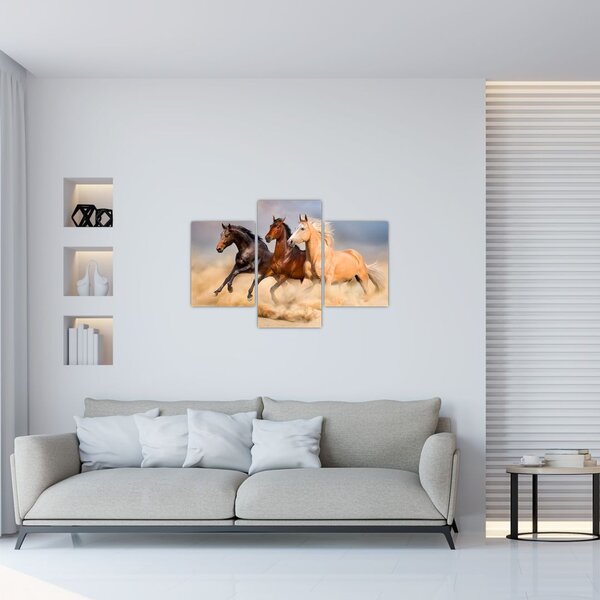 Obraz - Divé kone (90x60 cm)