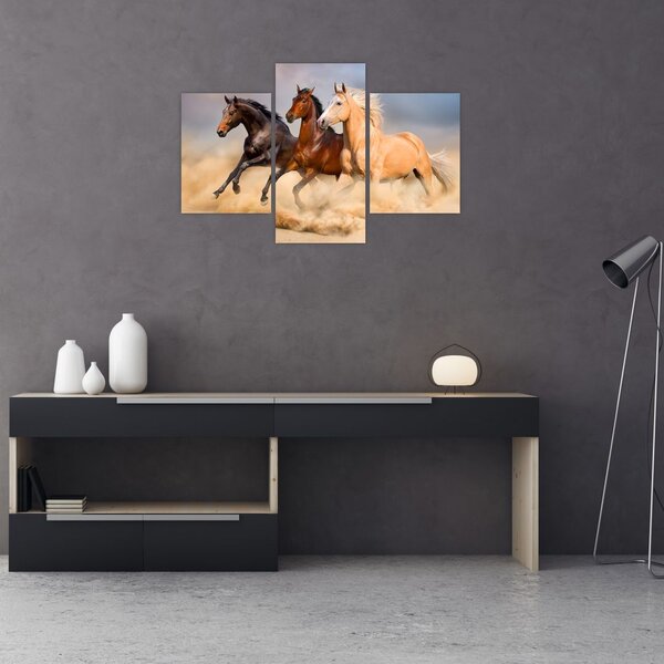 Obraz - Divé kone (90x60 cm)