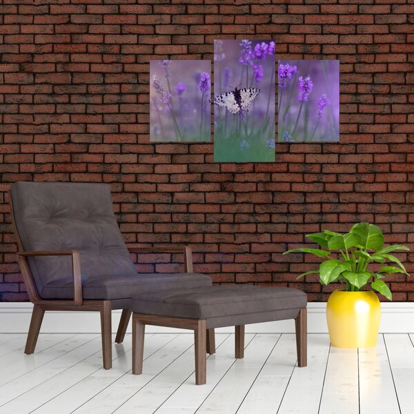 Obraz - Motýľ v levanduli (90x60 cm)
