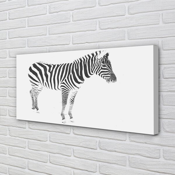 Obraz na plátne maľované zebra 100x50 cm