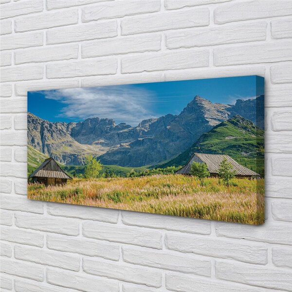Obraz canvas Top box chat 100x50 cm