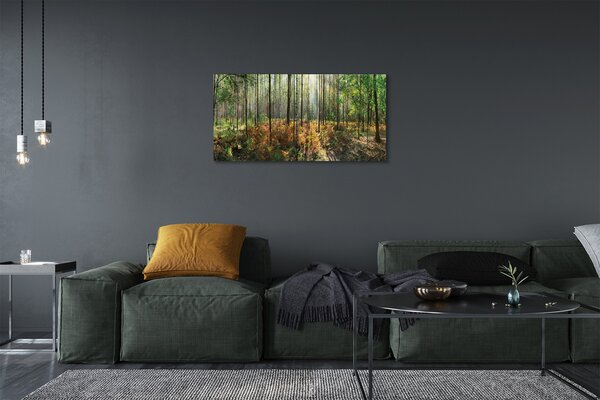 Obraz canvas les breza 100x50 cm