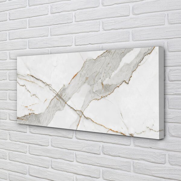 Obraz canvas Marble kameň škvrny 100x50 cm