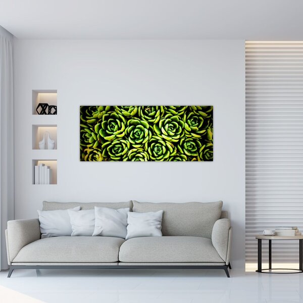 Obraz skalníc (120x50 cm)
