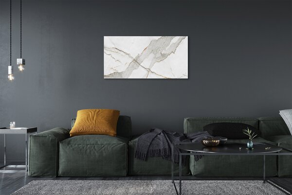 Obraz canvas Marble kameň škvrny 100x50 cm