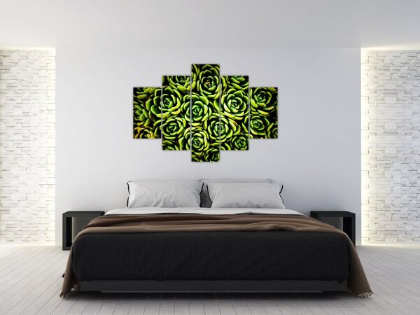 Obraz skalníc (150x105 cm)