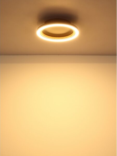 Globo 67356D - LED Stropné svietidlo DAKARI I LED/12W/230V 3000K pr. 20,5 cm