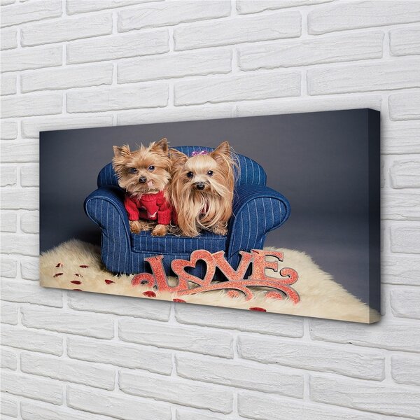 Obraz na plátne yorkie 100x50 cm