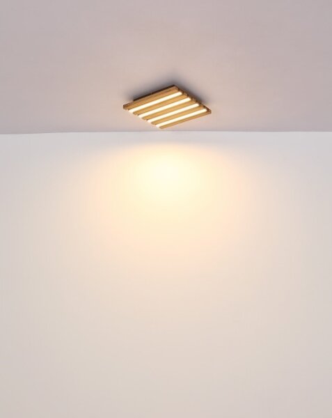 Globo 67347D1 - LED stropné svietidlo HAYDEN LED/15W/230V 3000K 30x30 cm