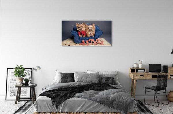 Obraz na plátne yorkie 100x50 cm