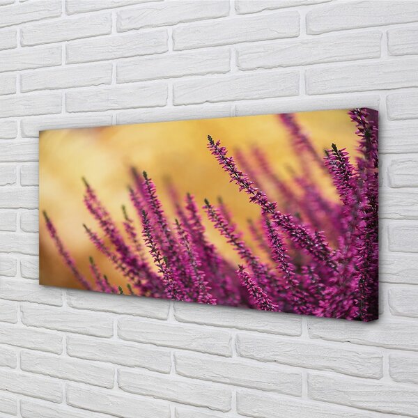 Obraz canvas kvety 100x50 cm