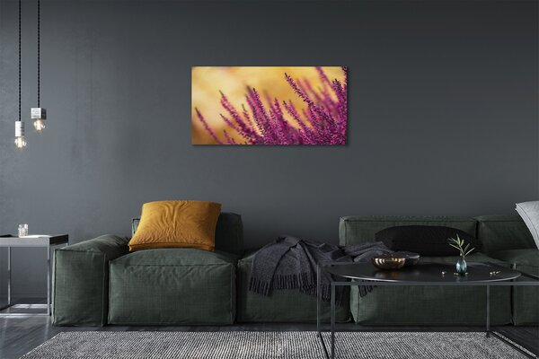 Obraz canvas kvety 100x50 cm