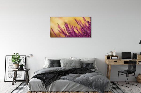 Obraz canvas kvety 100x50 cm