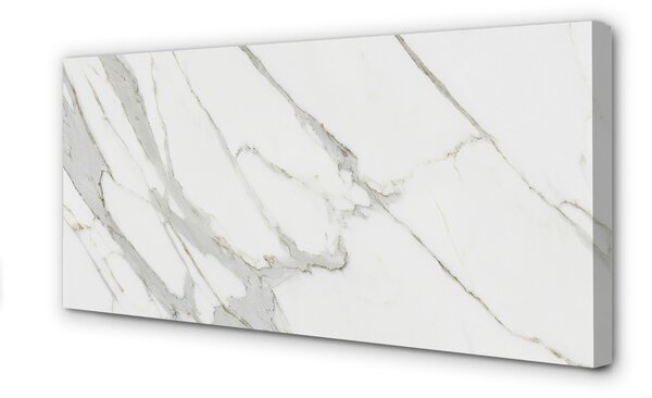 Obraz canvas Marble kameň škvrny 100x50 cm