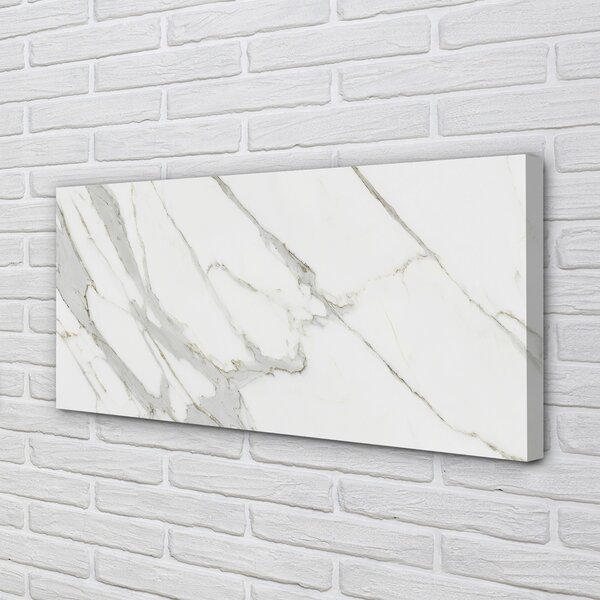 Obraz canvas Marble kameň škvrny 100x50 cm